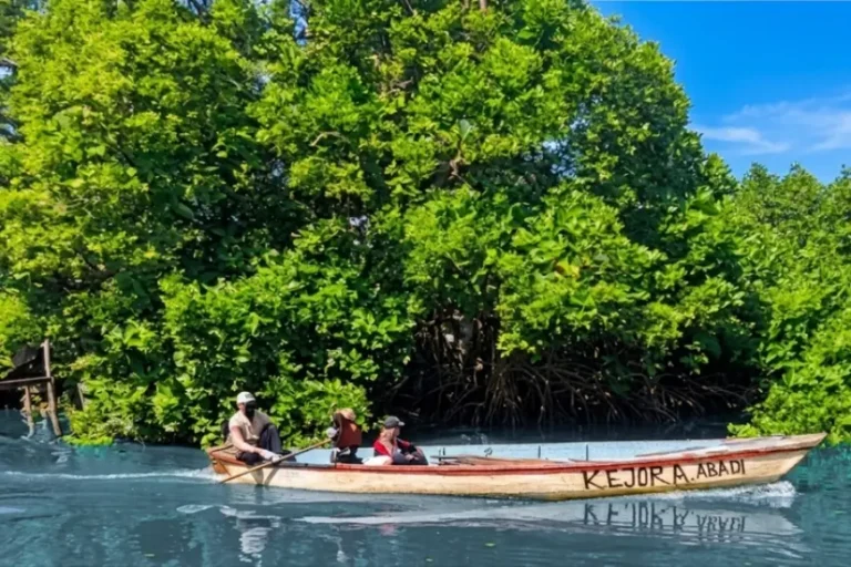 Asyiknya Susur Sungai Alam Curah Asmoro Sidoarjo, Melintasi Labirin Hijau di Ujung Sedati
