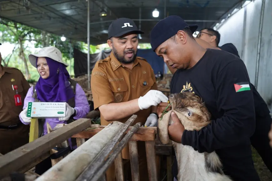 Pemkot Batu Jamin Hewan Kurban Aman dan Sehat