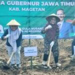 Magetan tancap gas kejar swasembada gula Nasional