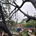 BPBD Madiun tangani pohon tumbang di 10 titik dampak cuaca ekstrem