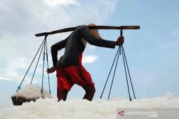 Pemkab Malang komunikasikan realisasi hilirisasi garam dengan pusat
