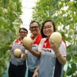 Pertagas OEJA berkomitmen dorong kemandirian ekonomi desa