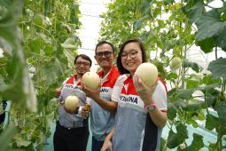 Pertagas OEJA berkomitmen dorong kemandirian ekonomi desa