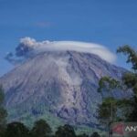TNBTS tangkap 13 orang diduga pendaki ilegal Gunung Semeru