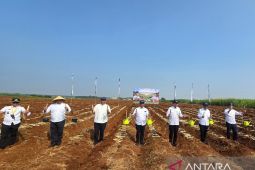 SGN dukung program hilirisasi perkebunan nasional