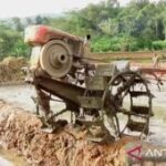 Pemkab Sumenep alokasikan Rp1,9 miliar untuk modernisasi pertanian