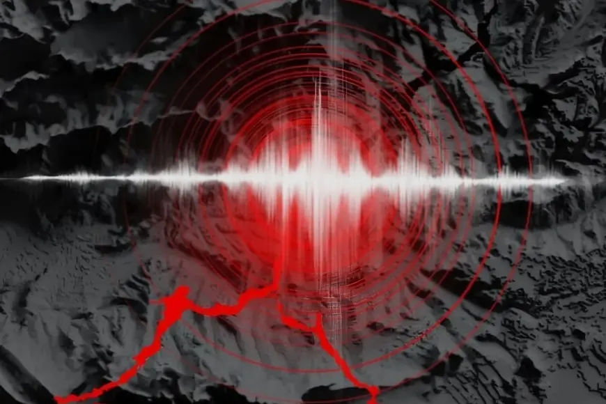 Update Gempa Magnitudo 5,6 di Selatan Pacitan: Getaran Terasa hingga Yogyakarta dan Malang