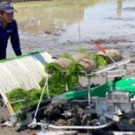 DKPP Kota Madiun dorong percepatan tanam antisipasi puncak kemarau