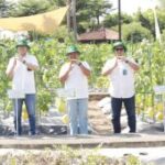Petro Agrifood Expo di Gresik kampanyekan regenerasi petani