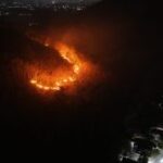 Kebakaran Gunung Gombak Ponorogo hanguskan 15 hektare hutan dan lahan
