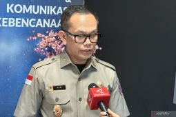 BNPB: Kebakaran lahan perumahan 3 Ha di Gresik berhasil dipadamkan