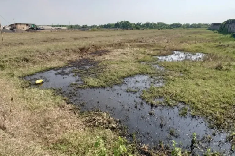 PT Enero Mojokerto Buang 13 Tangki Limbah ke Sawah Warga