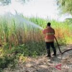 Damkar Magetan minta warga waspadai potensi karhutla saat kemarau