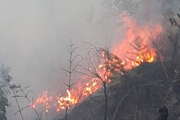 Sebagian akses Bromo ditutup imbas kebakaran Blok Bantengan