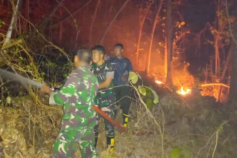 Api Membakar 3 Hektare Lahan Gunung Krandegan Tulungagung, TNI dan Warga Bergerak Padamkan Kobaran