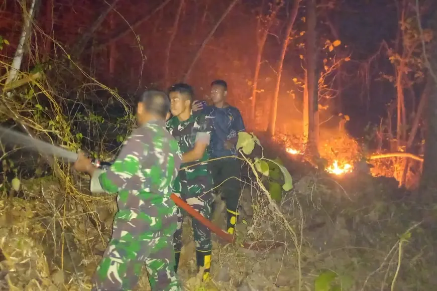 Api Membakar 3 Hektare Lahan Gunung Krandegan Tulungagung, TNI dan Warga Bergerak Padamkan Kobaran