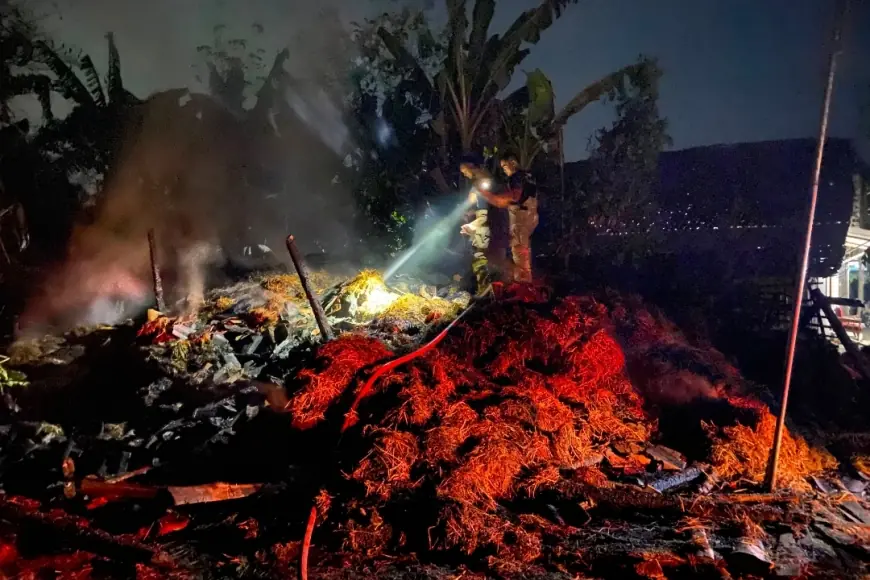Diduga Dipicu Sisa Pembakaran Pakan, Kandang Ternak di Bagor Nganjuk Ludes Terbakar