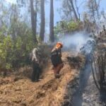 Perhutani pastikan kebakaran di Gunung Butak sepenuhnya padam