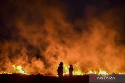 BMKG Juanda: Potensi asap karhutla Kalimantan menuju Jatim rendah