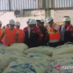 Kementerian investasi fasilitasi pembangunan industri garam di Sampang