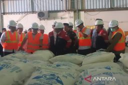 Kementerian investasi fasilitasi pembangunan industri garam di Sampang