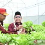 Pemkab Sumenep perkuat kapasitas petani sukseskan swasembada pangan