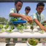 Sekolah Bumi Shalawat manfaatkan rumah kaca dukung pembelajaran