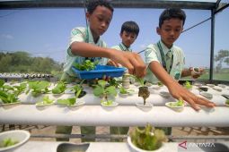 Sekolah Bumi Shalawat manfaatkan rumah kaca dukung pembelajaran