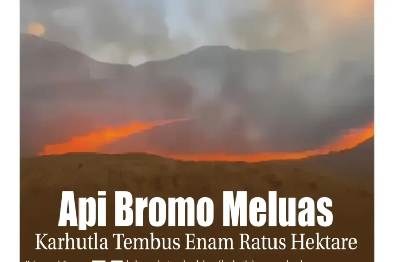 e&Koran, Edisi Selasa, 1 September 2026