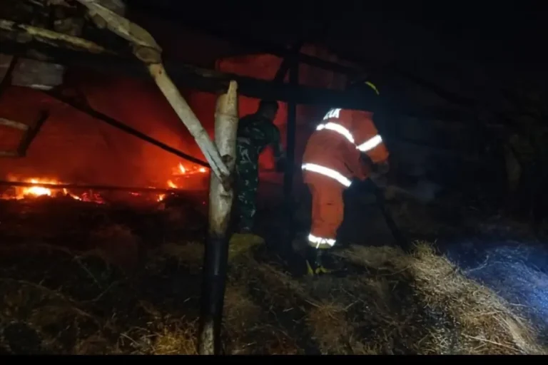 Rumah Warga Nganjuk Ludes Terbakar, Kakak Kandung Sendiri Diduga Sebagai Pelaku