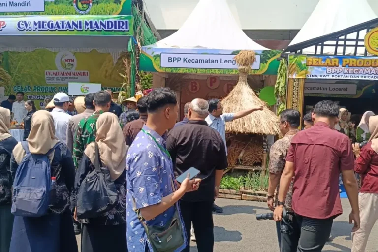 Korwil Penyuluh Lengkong dan Loceret Nganjuk Harapkan Kebijakan Pemerintah Berpihak pada Petani