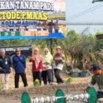 DKPP Kota Madiun dorong petani terapkan pertanian modern