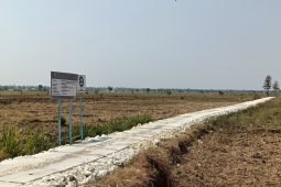Pemkab Bojonegoro permudah akses petani melalui pembangunan JUT