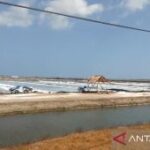 Pemkab Sumenep catat produksi garam mencapai 25.285 ton