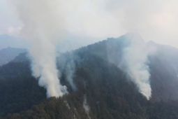 Pendakian Arjuno-Welirang ditutup imbas kebakaran hutan