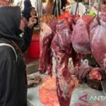 RPH Surabaya pastikan pasokan daging sapi cukup