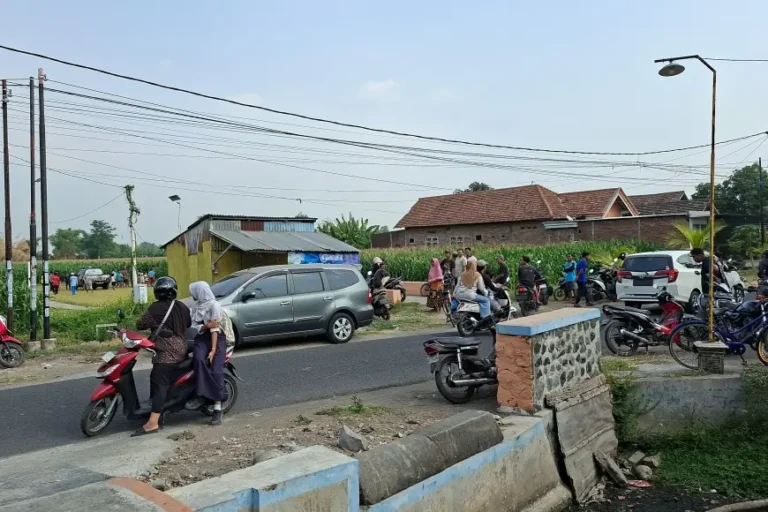 Geger! Mayat Pria Membusuk Ditemukan di Ladang Jagung Peterongan Jombang