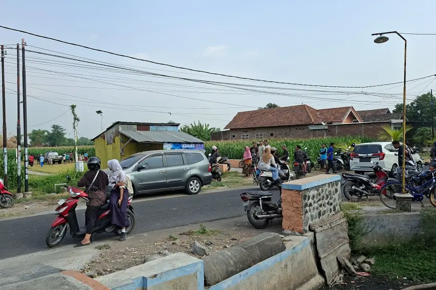 Geger! Mayat Pria Membusuk Ditemukan di Ladang Jagung Peterongan Jombang