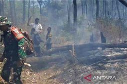 BPBD catat 36 kejadian karhutla di Magetan selama September 2026