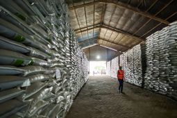 Petrokimia Gresik siapkan 443.000 ton pupuk subsidi hadapi musim tanam